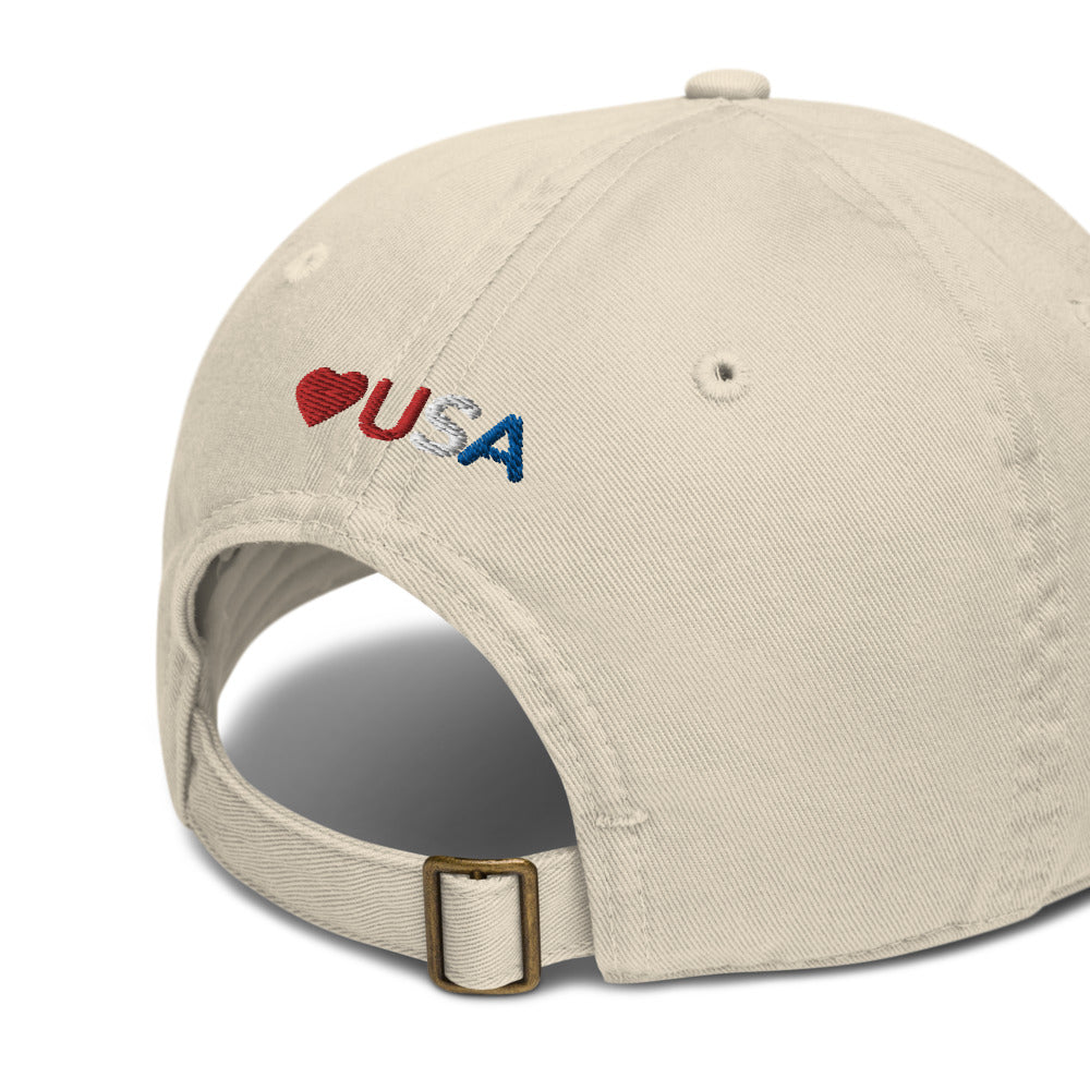 queer usa themed gay pride usa pride, i love the usa gay hat, usa queer hat