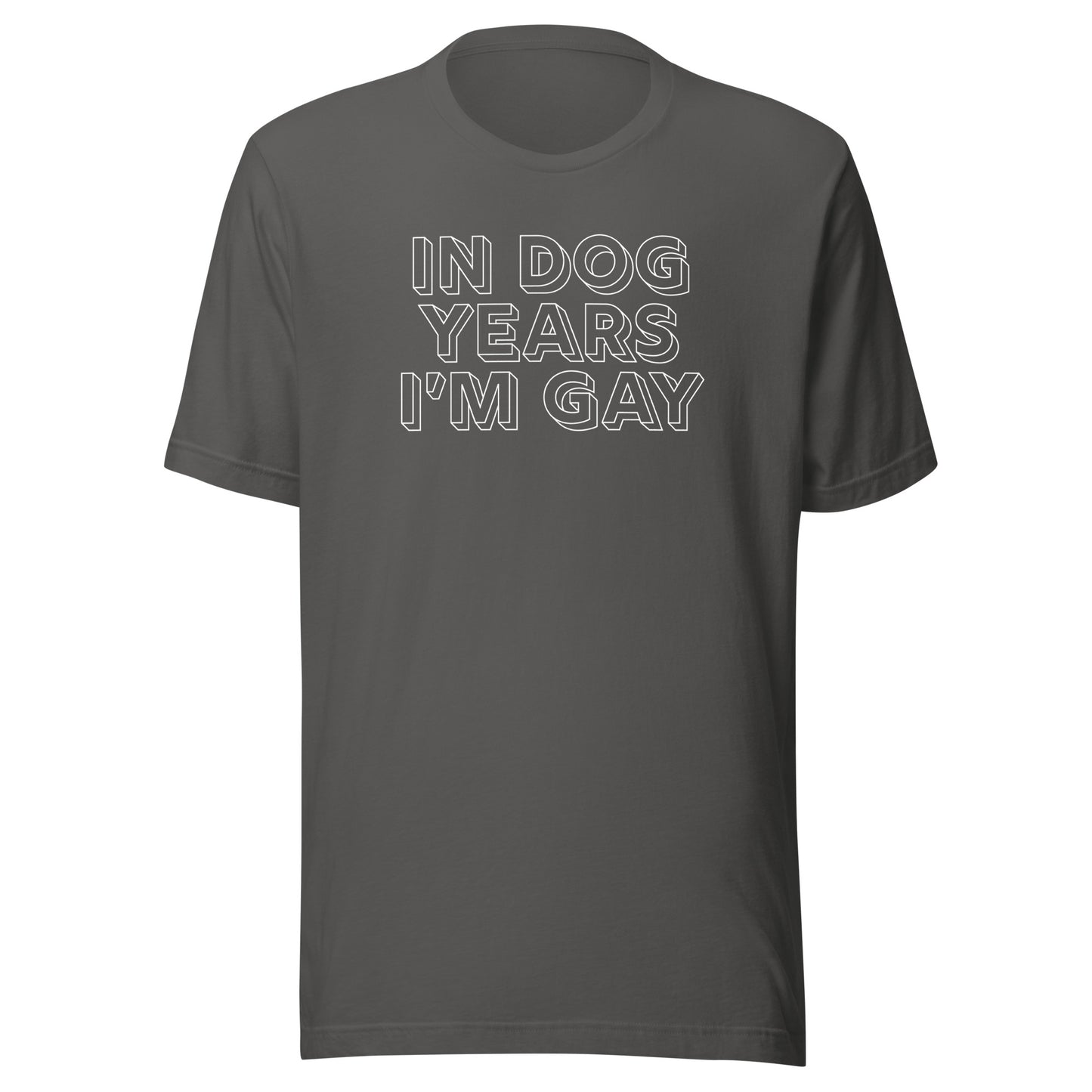 In Dog Years I'm Gay LGBTQIA+ Gay Pride Clothing & Apparel, dog tshirts for gay and queers