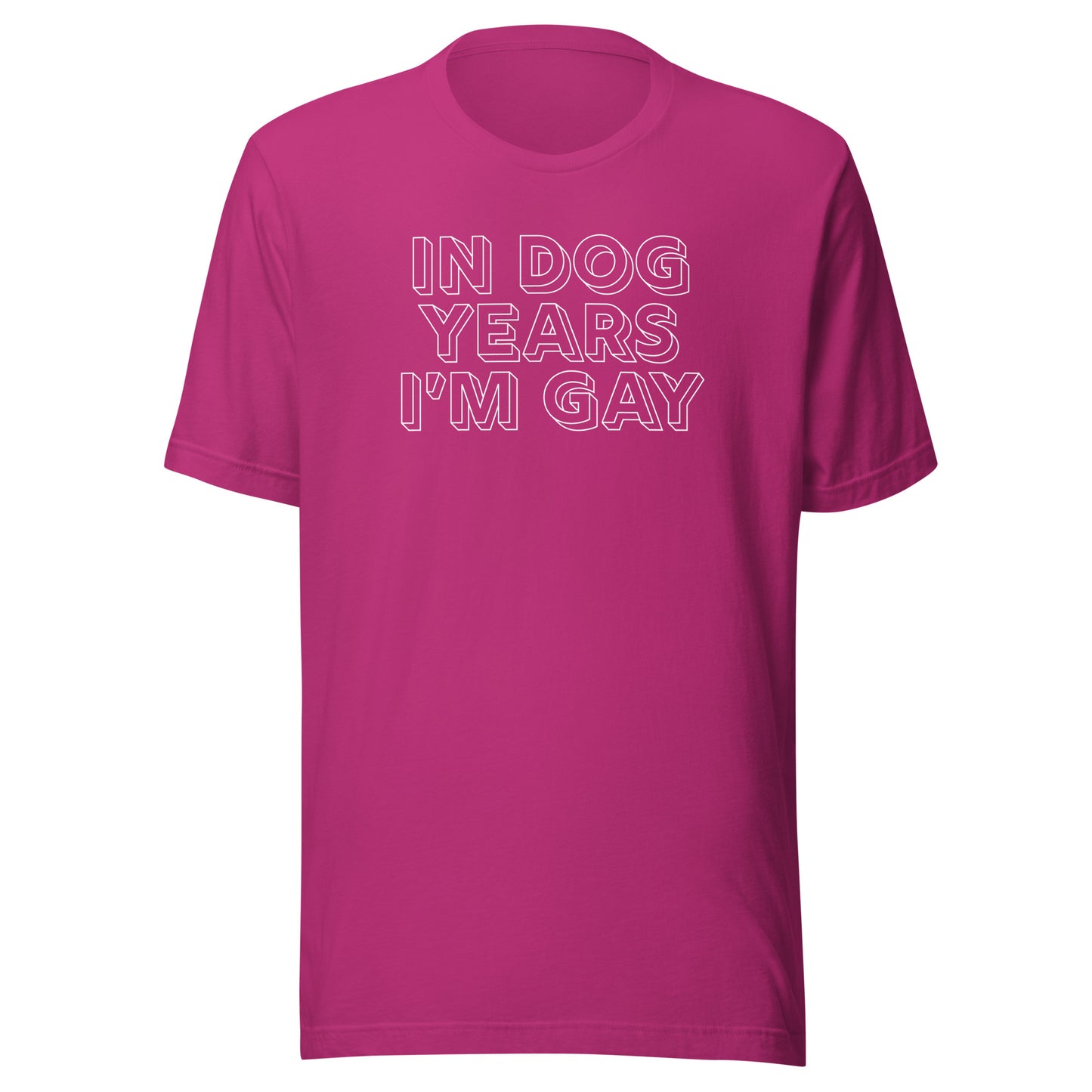 In Dog Years I'm Gay LGBTQIA+ Gay Pride Clothing & Apparel, dog tshirts for gay and queers