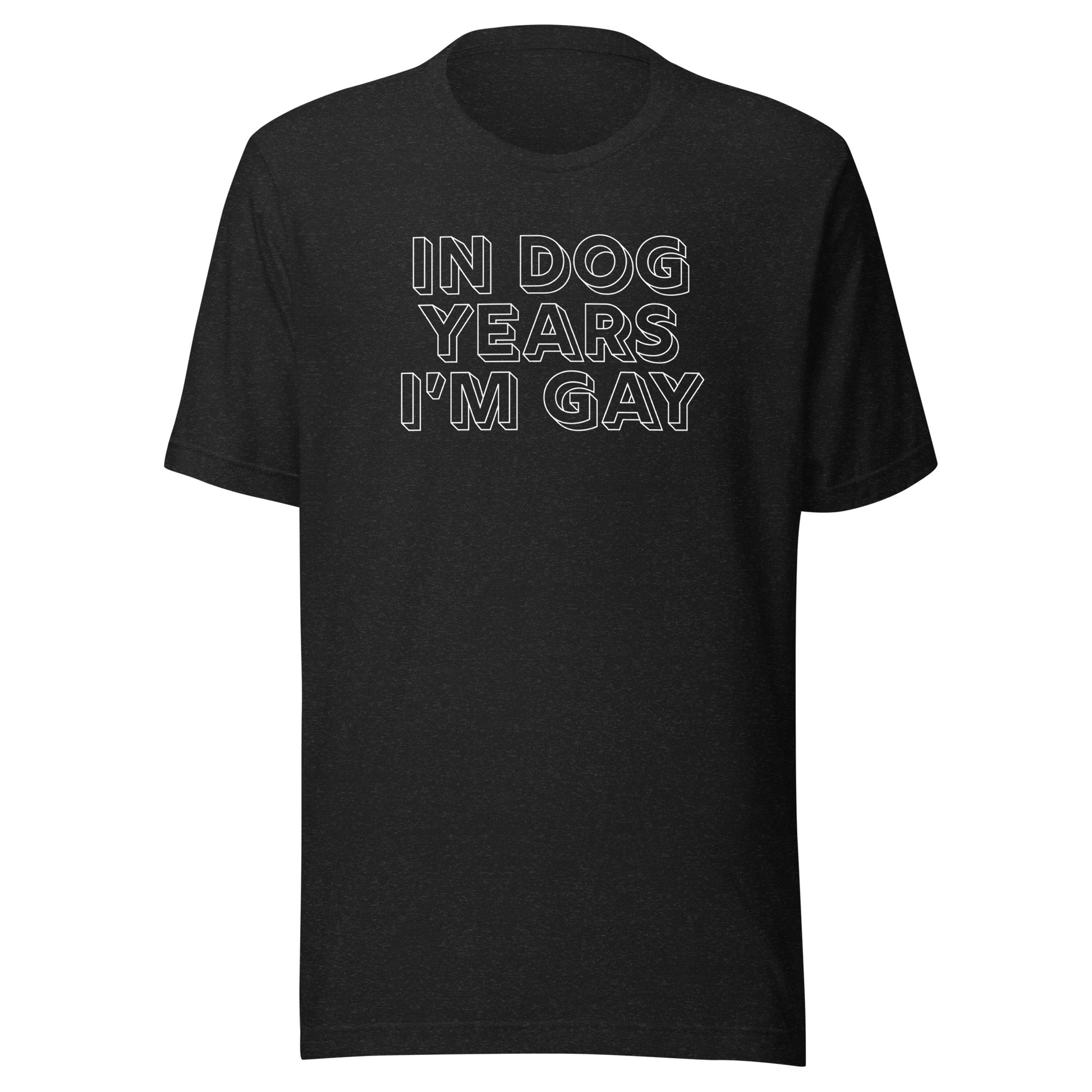 In Dog Years I'm Gay LGBTQIA+ Gay Pride Clothing & Apparel, dog tshirts for gay and queers