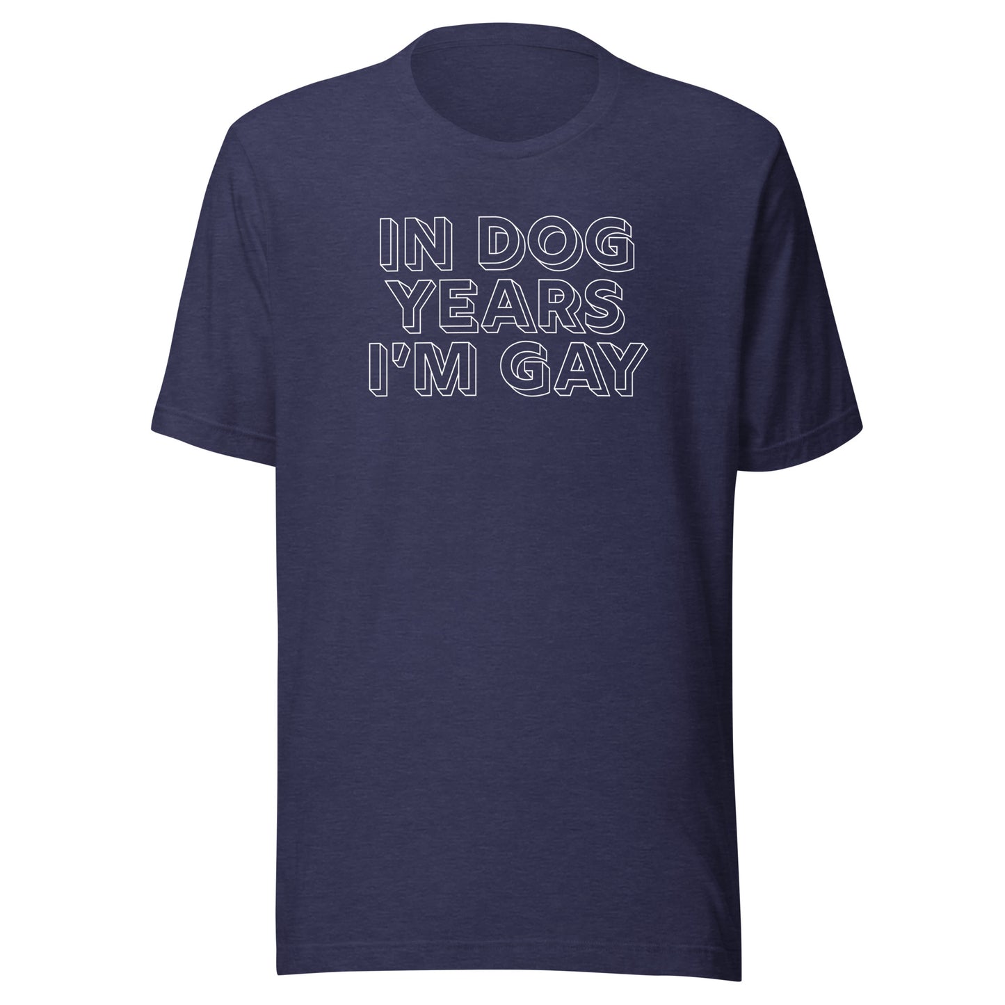 In Dog Years I'm Gay LGBTQIA+ Gay Pride Clothing & Apparel, dog tshirts for gay and queers